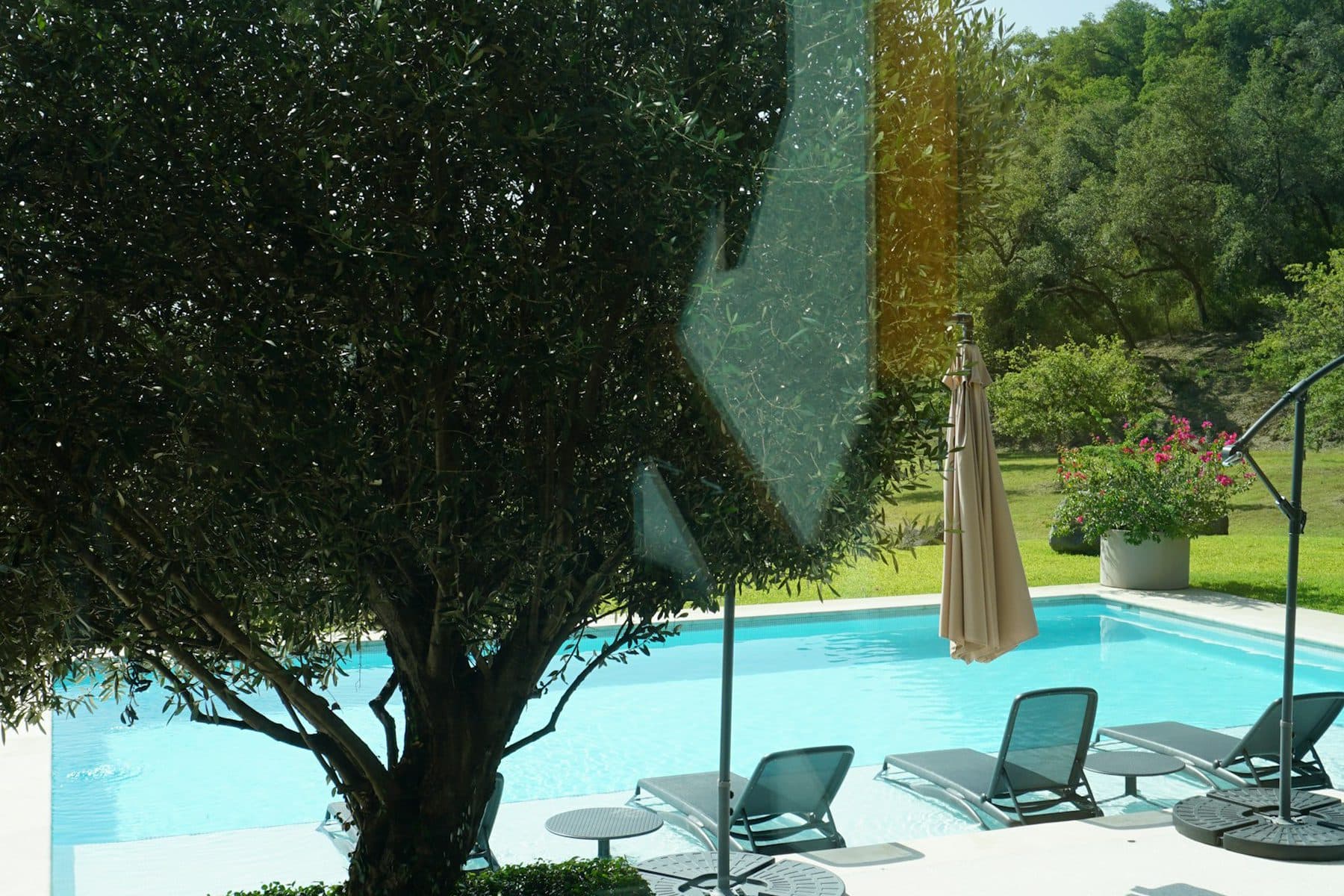 Pool — listing photo
